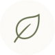 icon support